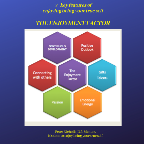 7 features Enjoyment Factor