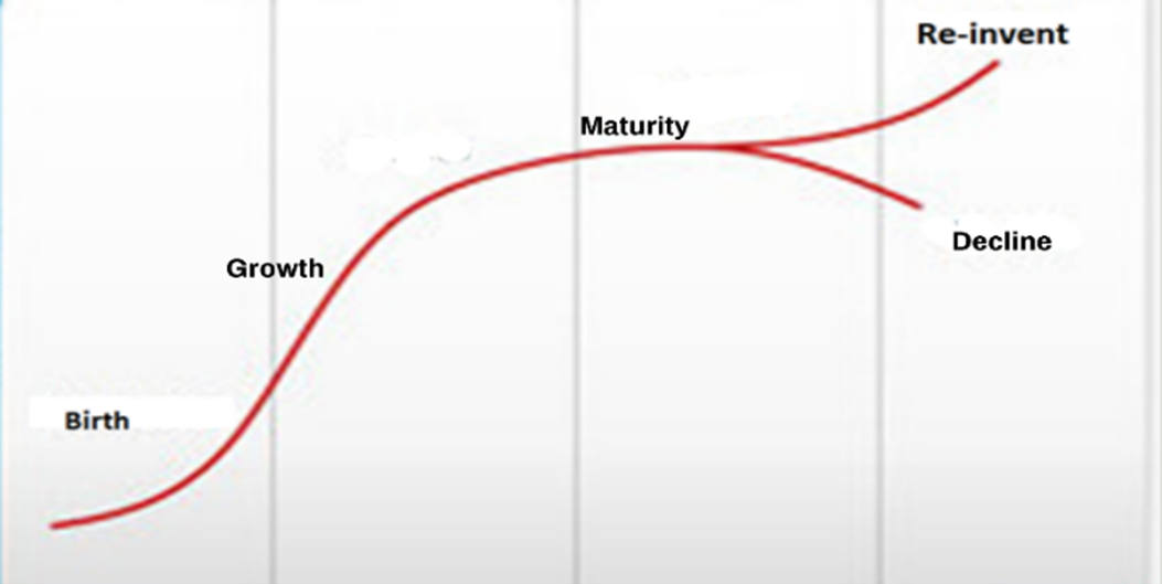 Traditional Human Lifecycle 1